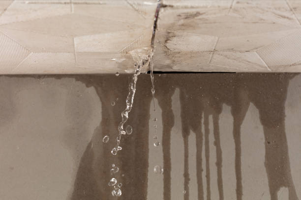 Professional Flood Damage Cleanup technician working in Louisville, NE